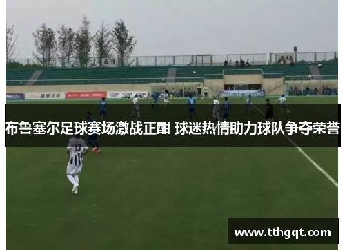 布鲁塞尔足球赛场激战正酣 球迷热情助力球队争夺荣誉